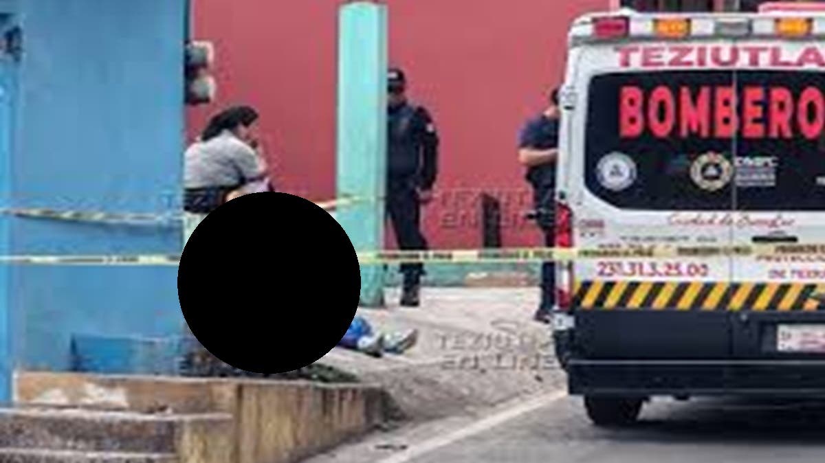 ¡Tragedia en Puebla! Abejas entran al casco de motociclista y lo matan tras múltiples picaduras
