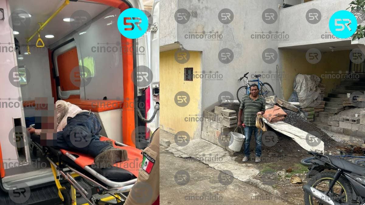 Hombre de 70 años sufre brutal ataque de abejas en Chignautla: su vida pende de un hilo