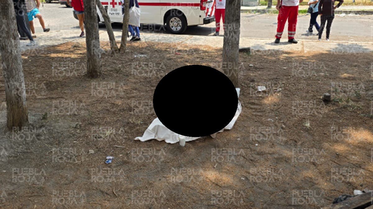 Infartazo en Rivera Anaya: abuelito muere bajo los árboles mientras caminaba solo