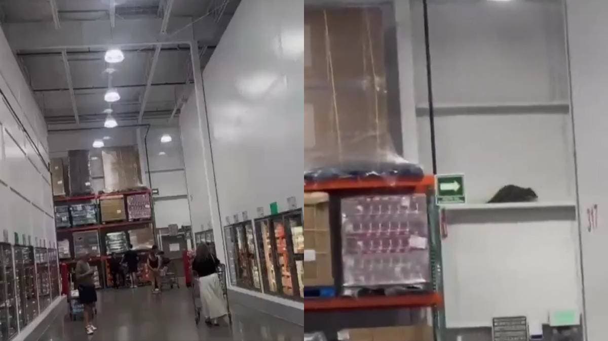 Terror entre anaqueles: Clientes de Costco en Puebla graban a rata gigante entre pasillos