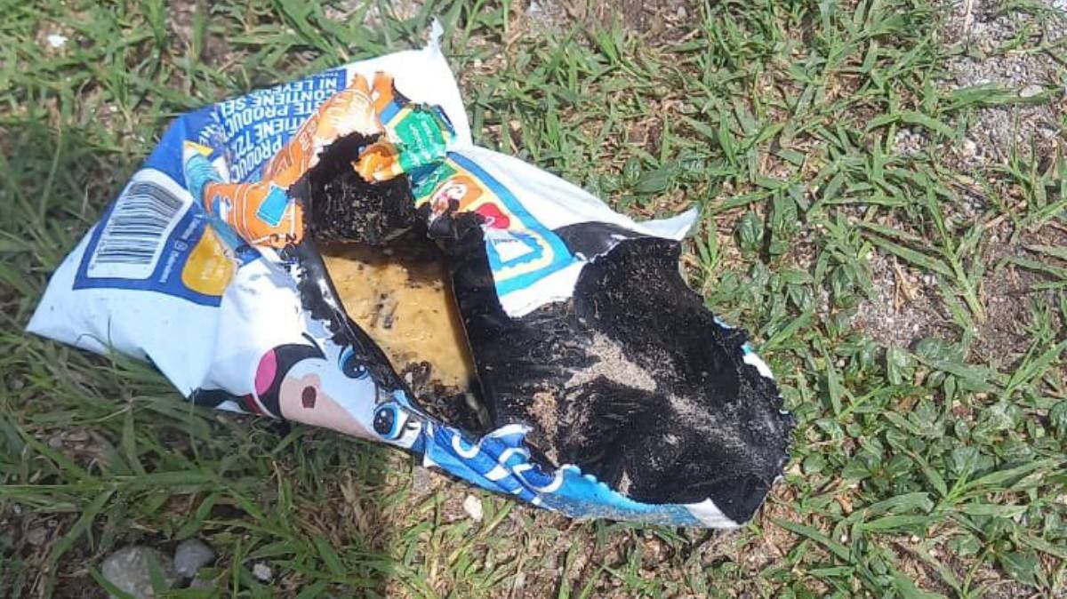 Terror Silencioso en Cabañas del Lago: Envenenan a Cuatro Perros en Menos de 20 Días y Vecinos Claman Justicia