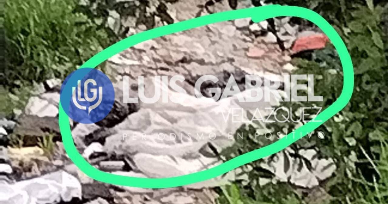 Macabro hallazgo en Puebla: Cuerpo en descomposición aparece en barranca de Rivera Anaya; Fiscalía investiga