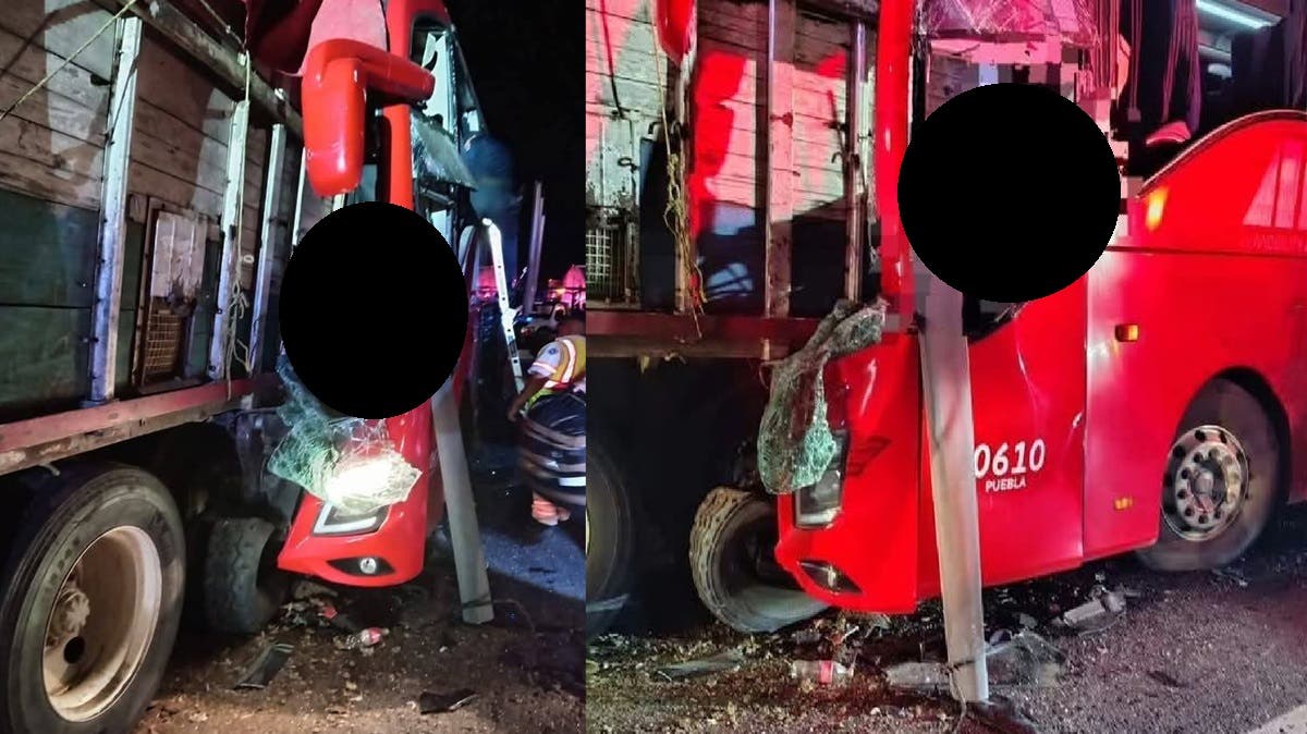 Tragedia en la Autopista Isla-Acayucan: Choque Fatal entre Autobús ADO y Tractocamión Deja Un Muerto y Más de 20 Heridos