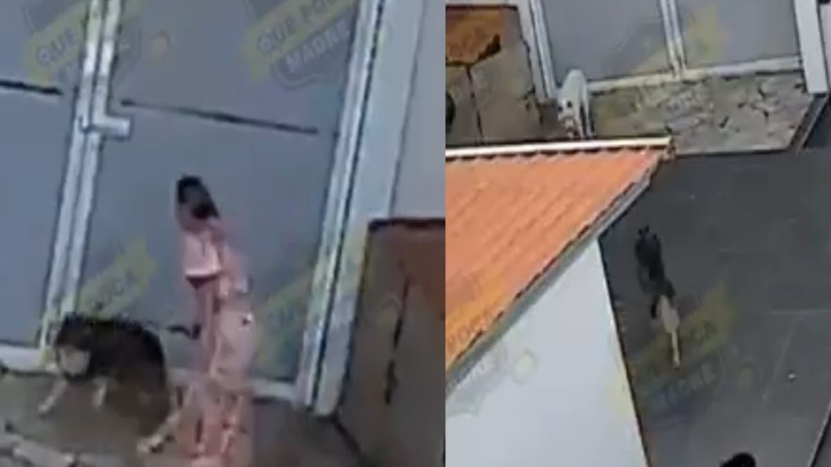 VIDEO Funcionaria de Ixtapan de la Sal es exhibida golpeando perros; también trabaja con niños