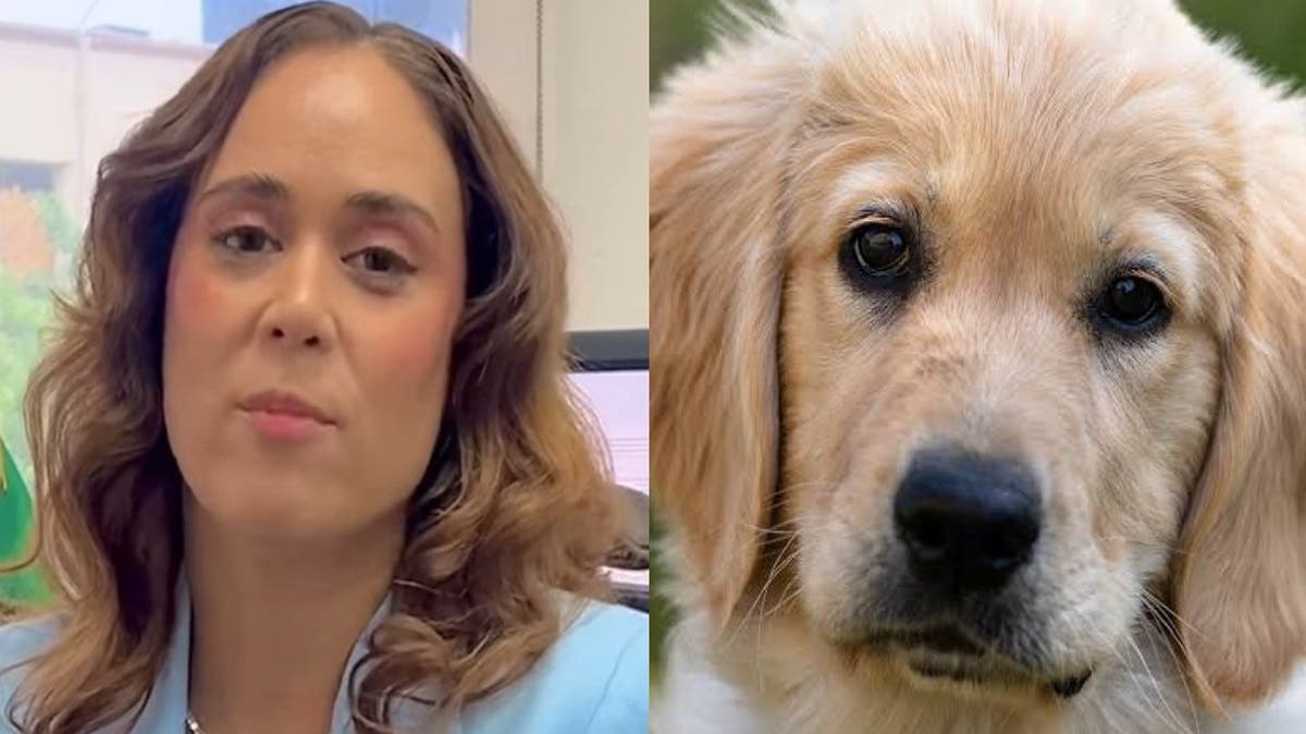 ¿Multa por ladrar? Regidora propone sanción de hasta $4,500 si tu perro hace mucho ruido