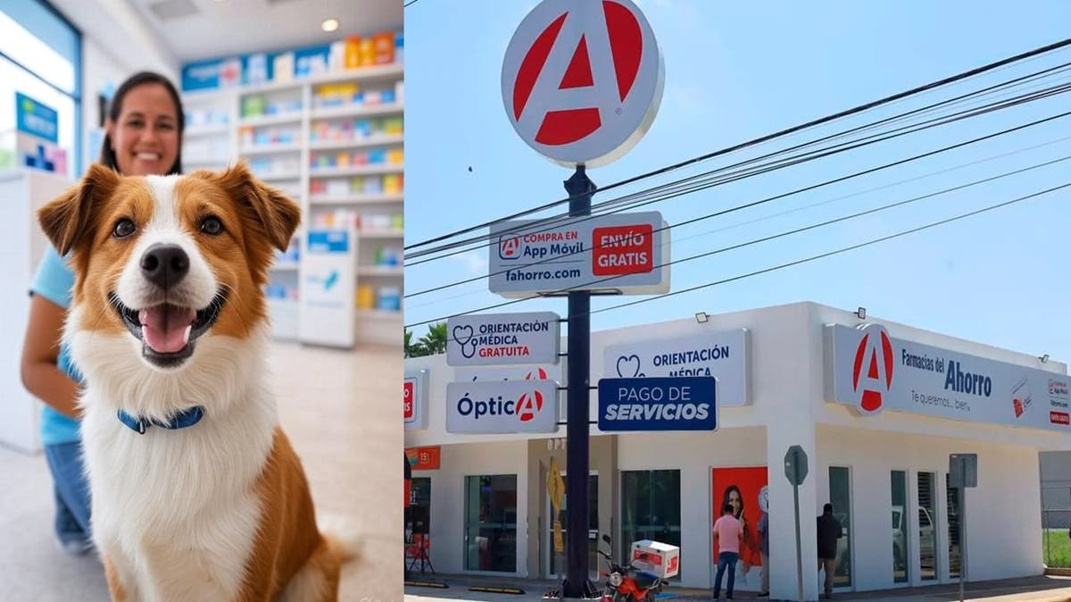 Farmacias del Ahorro ya atiende a tus lomitos y michis: ¡habrá consultas gratis!