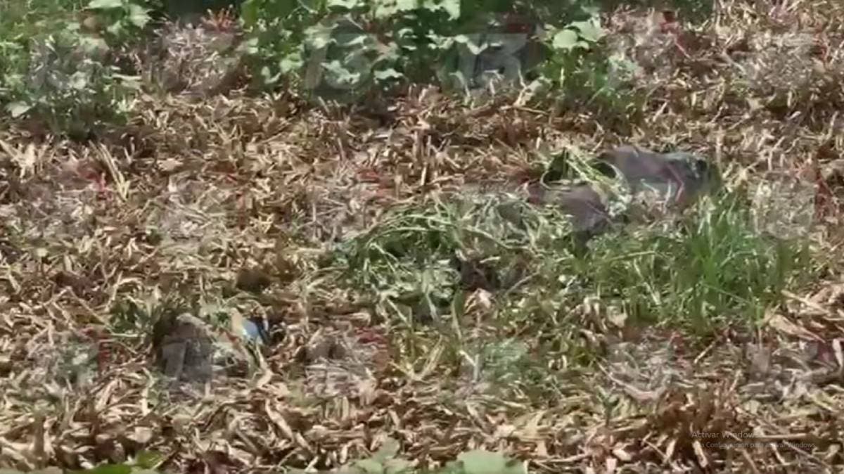 Macabro hallazgo en Valsequillo: encuentran cuerpo semienterrado y en descomposición; investigación en curso