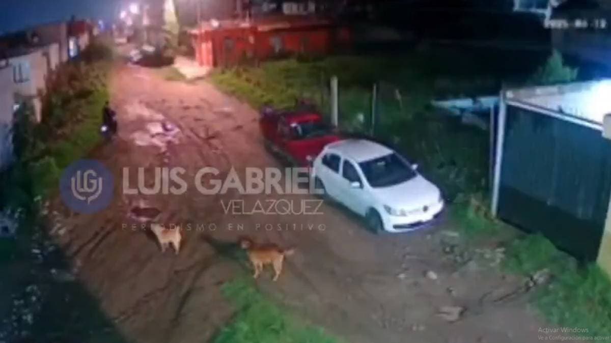 ¡Indignante! Hombre dispara contra dos perritos en San Jerónimo Caleras; vecinos denuncian impunidad