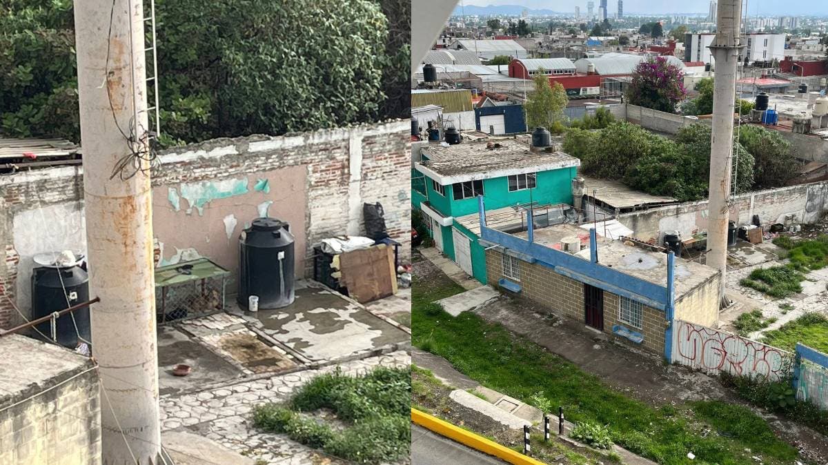 Indignante: denuncian maltrato a dos perros enjaulados sin agua ni comida frente a KIA Serdán, en Puebla