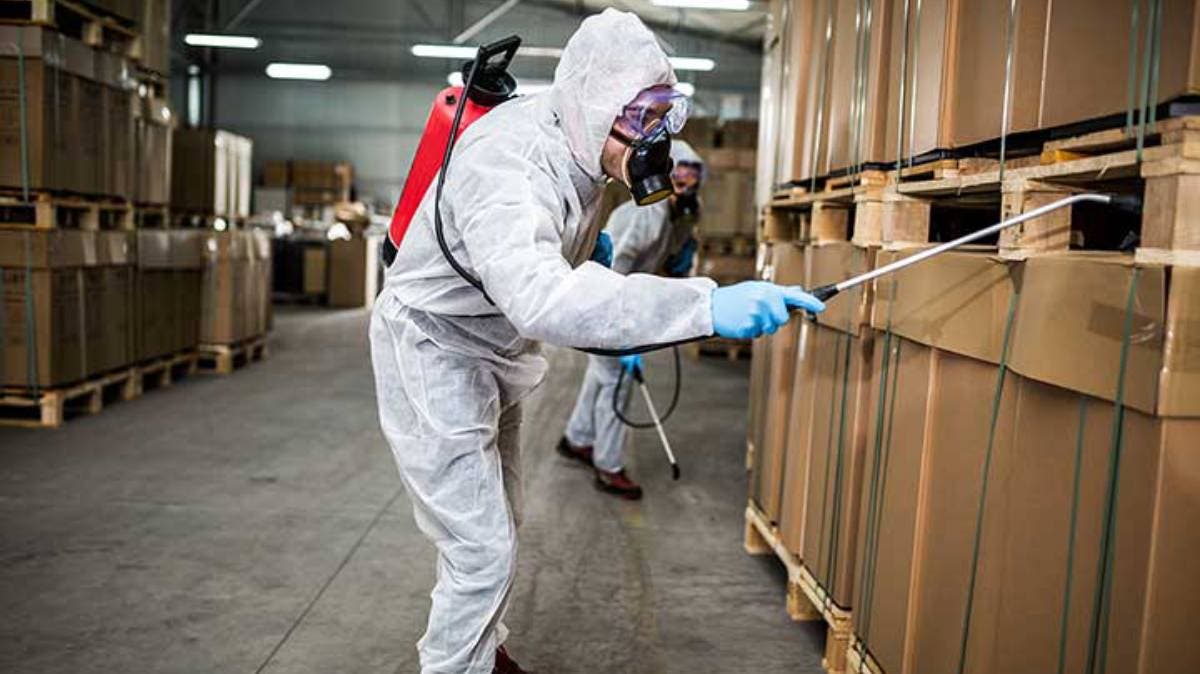 Falsa Fumigación, Robo Real: Nueva Modalidad Delictiva Alerta a Familias en Atlixco, Puebla