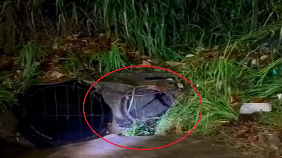 Tragedia: Extranjero desaparece tras ser arrastrado por la lluvia y caer en una alcantarilla