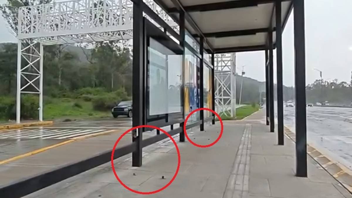 Paradero Flor del Bosque sufre robo de luminaria y bancas a solo meses de inaugurado — usuarios exigen vigilancia