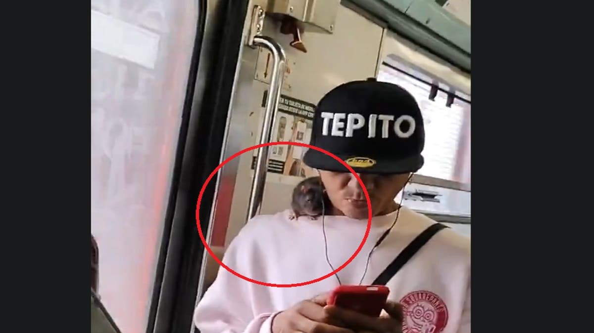 Pasajero viaja con su rata en el Metro y desata debate en redes sociales