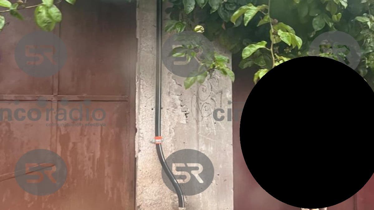 FUERTE FOTO Murió intentando entrar a casa durante la lluvia: perrito queda atorado en ventana en Bosques de Manzanilla