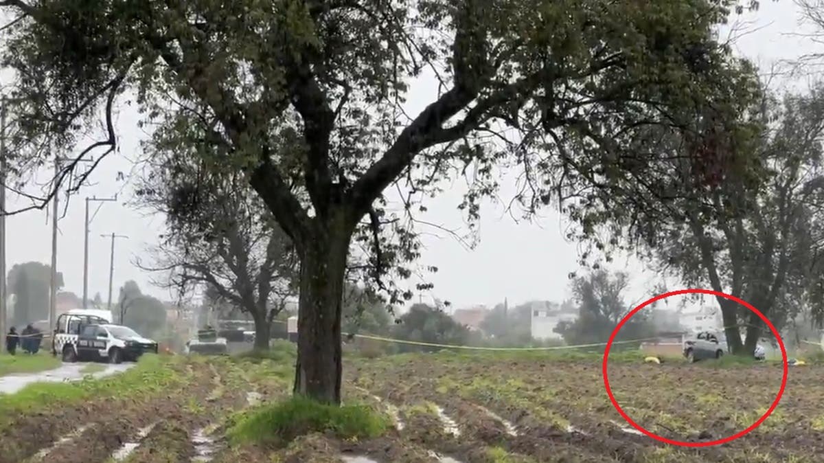 Última Hora: Lunes de terror en Puebla: hallan a 3 personas sin vida en campos de cultivo en Coronango