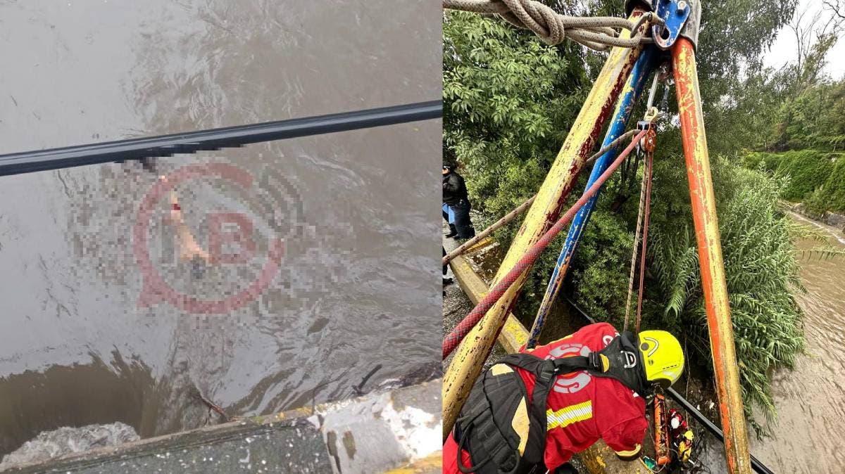 Río Alseseca: hallazgo en Puebla remece a la colonia La Hacienda