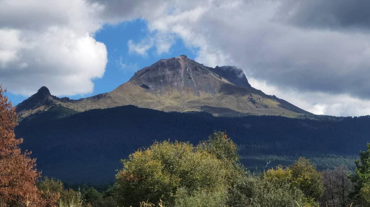 La Malinche: entre la lluvia y la negligencia, los sellos de Profepa desaparecen sin dejar rastro