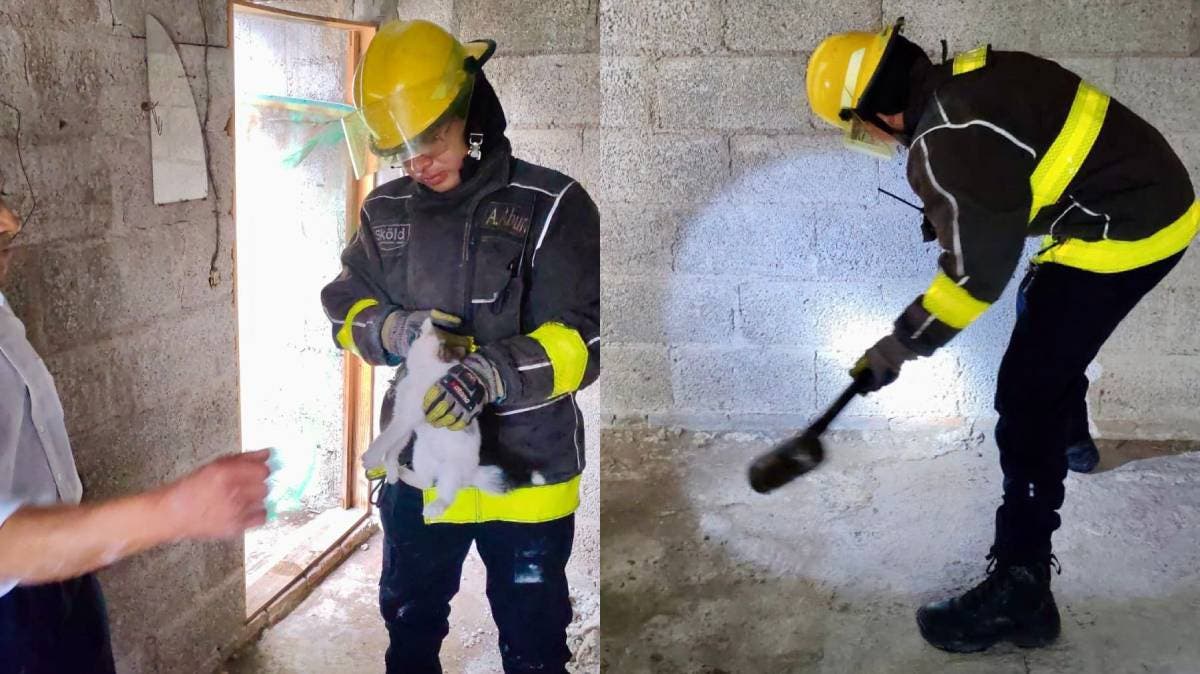 Misión felina: Bomberos de San Andrés Cholula rescatan a gatito atrapado entre muros de block