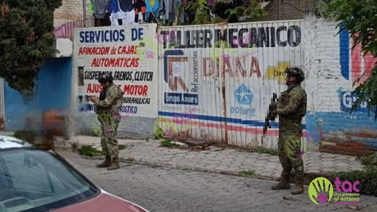 Interviene por primera vez la Marina en Tehuacán tras abandono de 6 perritos; 2 murieron por desnutrición