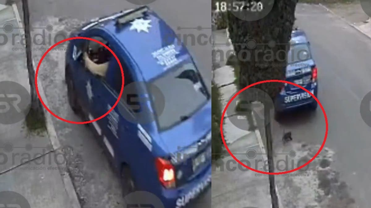 Video: captan a vehículo de seguridad privada arrojando a un gatito en Puebla