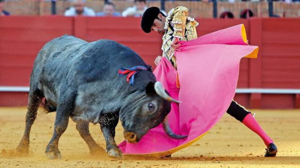 Adiós a las corridas en La México: nueva reforma pone fin a la tauromaquia en CDMX