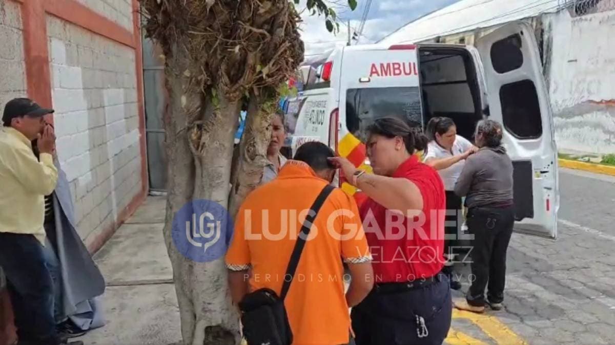 Ataque de abejas en Atlixco deja al menos 20 heridos; un menor está grave