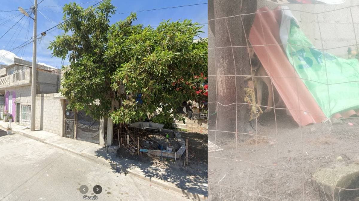 Denuncian maltrato a perro amarrado día y noche bajo la lluvia en Puebla; vecinos exigen intervención