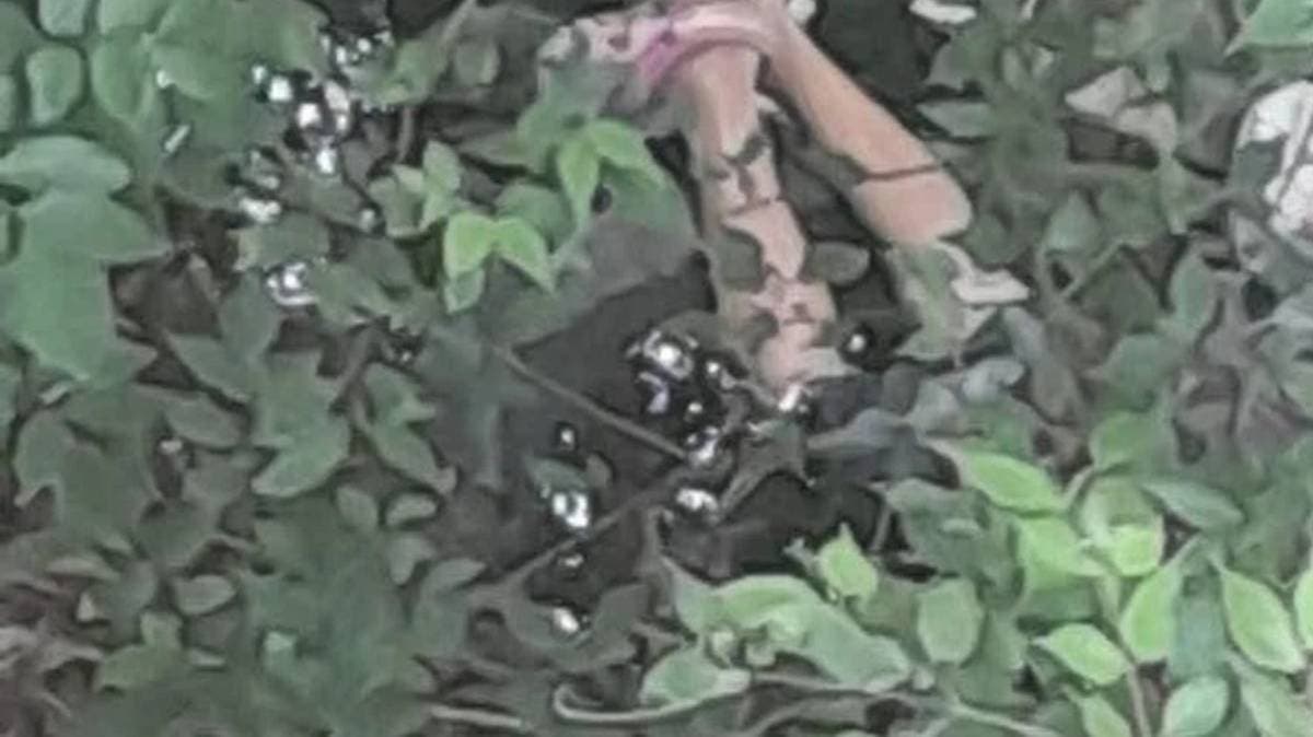 Tragedia en San Martín Texmelucan: identifican a Edith, la mujer hallada sin vida en “El Pantano”