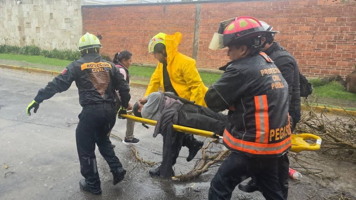Árbol cae sobre peatones en La Paz, Puebla, tras fuertes lluvias; hay personas lesionadas