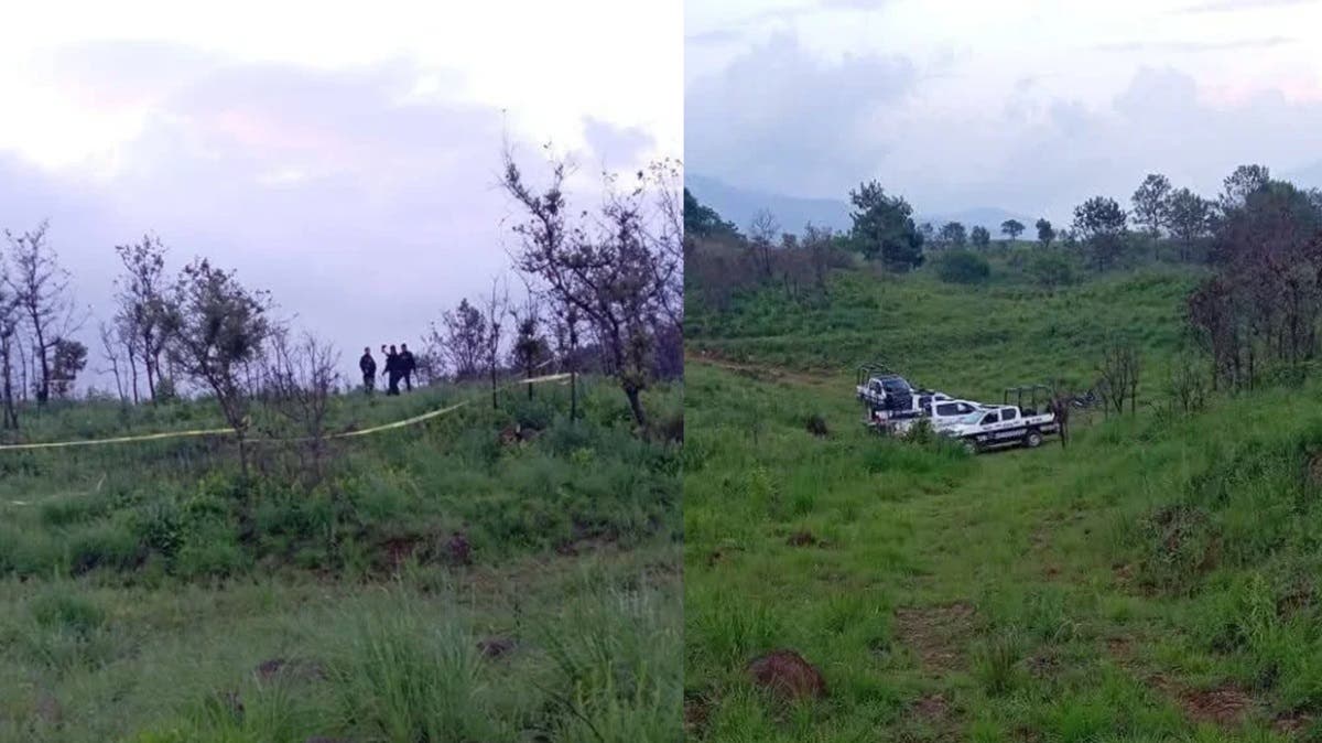 Hallan cuerpo en descomposición a un costado de la autopista Puebla-Orizaba: investigación en curso