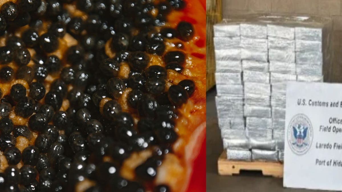 ¡23 millones en droga! Hallan metanfetamina oculta en cargamento de papayas