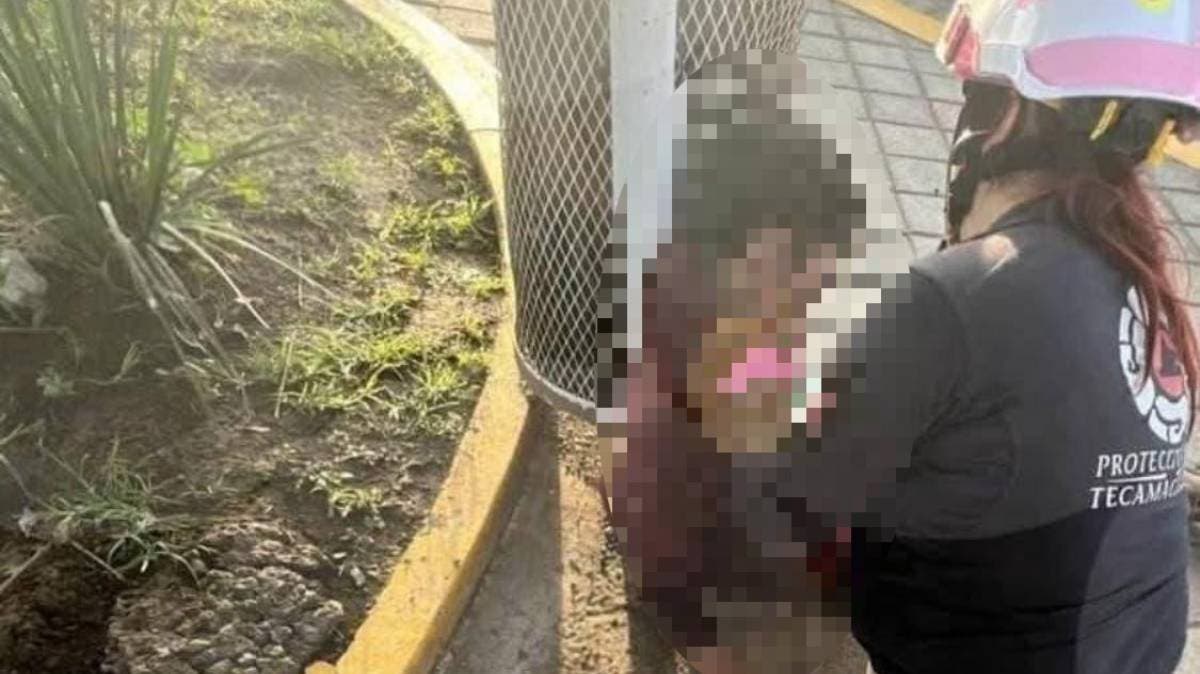 Tecamachalco entre sombras: hallan cuerpo sin vida frente al parque principal