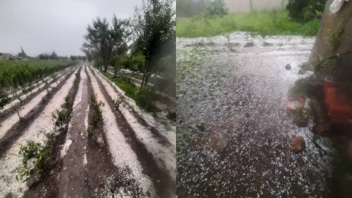 Texmelucan bajo hielo: granizada arrasa cultivos y golpea al campo poblano