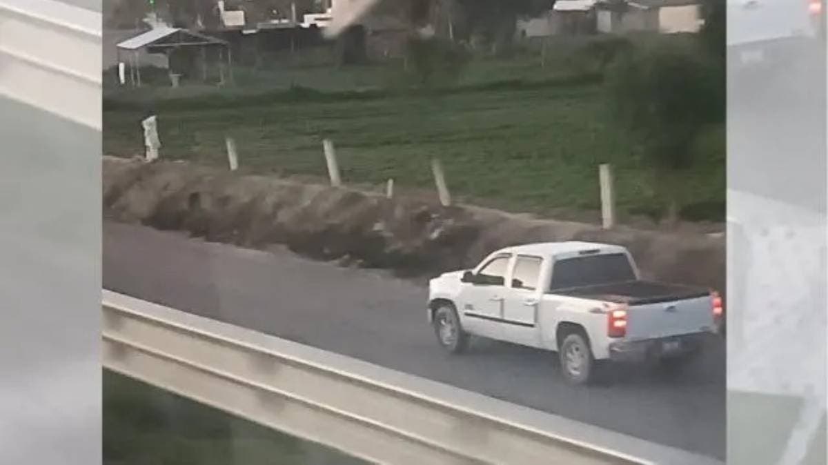 Falsos Policías Intentan Asaltar a Trailero en la Puebla-Orizaba: Un Milagro que No Terminó en Tragedia