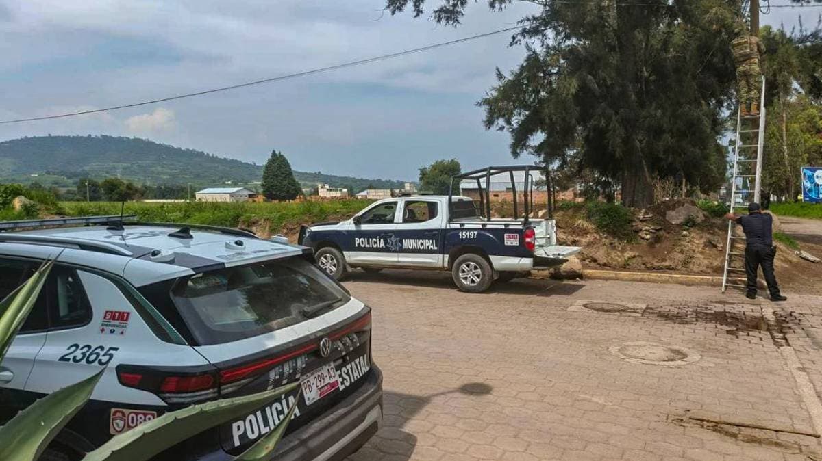 Detectan red de videovigilancia ilegal en Texmelucan: 21 cámaras colocadas en árboles y postes sin autorización