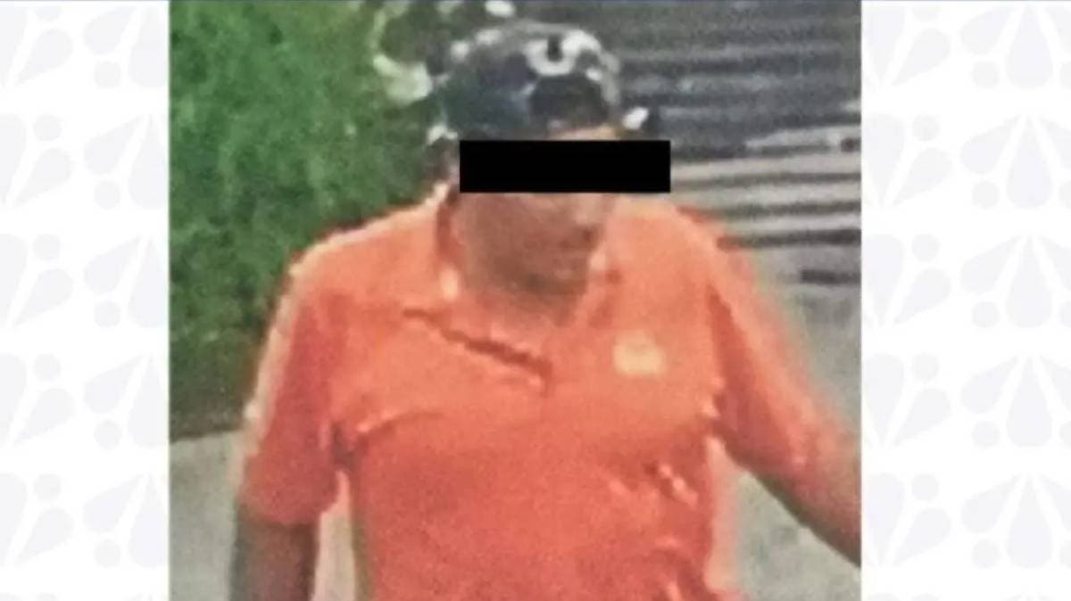 Justicia para una vida silenciada: sentencian a hombre que atropelló y abandonó a una perrita en Huauchinango