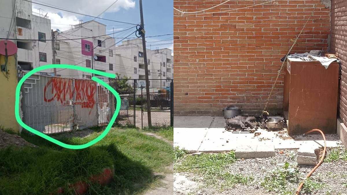 Indignación en Puebla: denuncian maltrato extremo a perrito en Bosques de San Sebastián