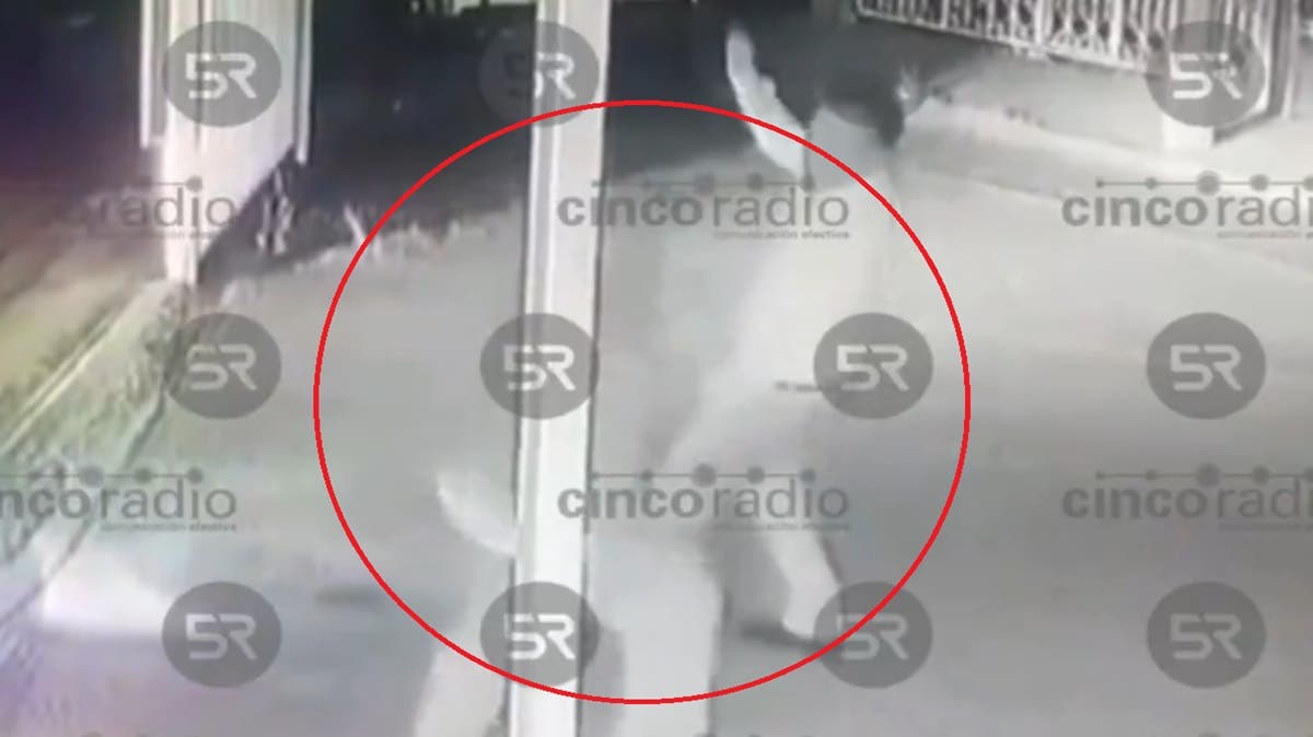 VIDEO Taxista y vigilante se agarran a golpes en Momoxpan por falta de marbete