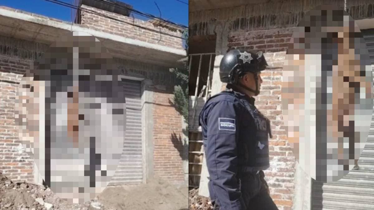 Murió intentando escapar: abandono y crueldad matan a perrito en Chignahuapan