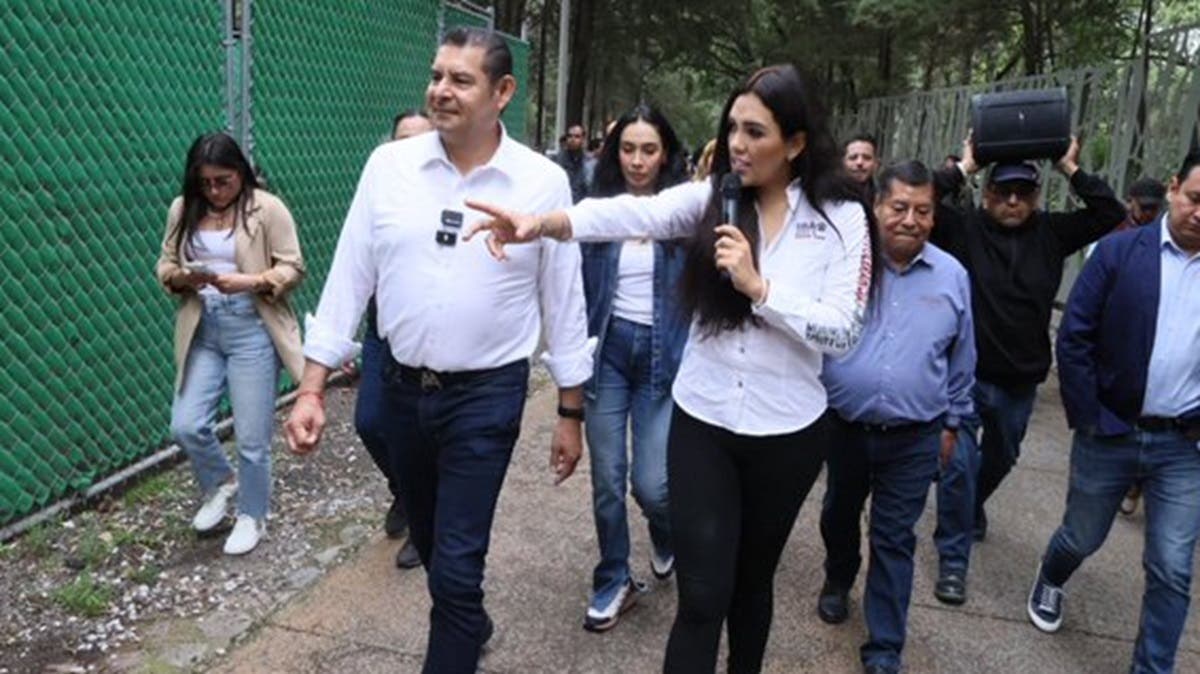 Gobierno de Puebla construirá “palacio felino”: edificio para gatos costará casi 22 millones de pesos