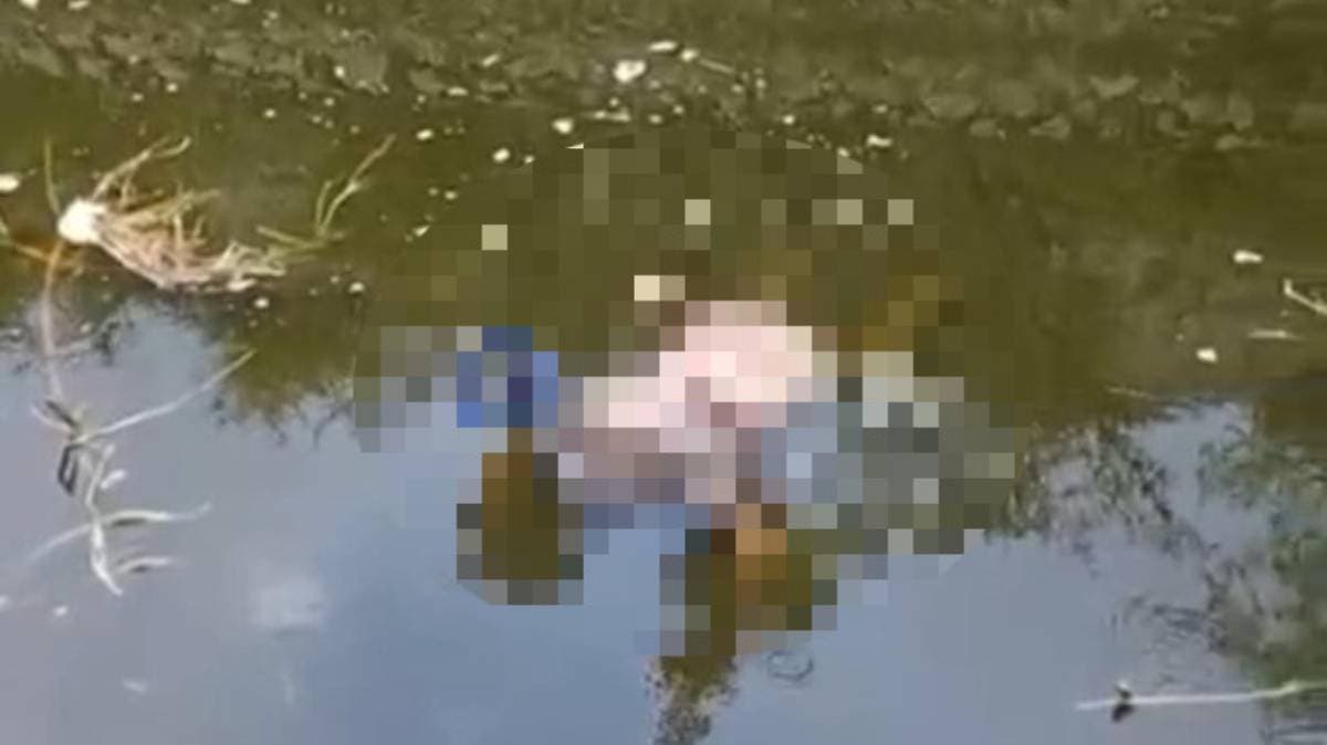 Misterio en el canal de Valsequillo: hallan cuerpo flotando entre aguas negras y silencio