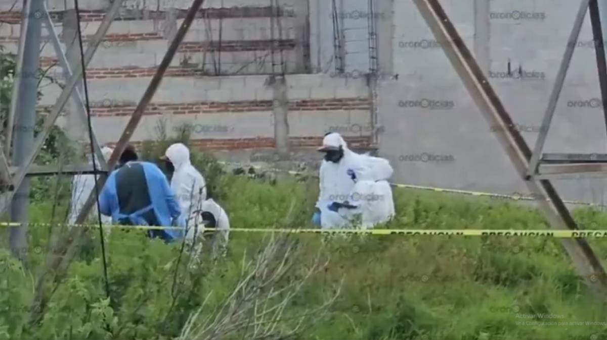 Indignación que trasciende especies: Fiscalía exhuma los restos de un perro ahorcado en Puebla; buscan justicia por maltrato animal