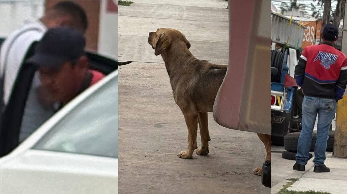 Indignación en Texmelucan: atropella a un perrito y solo revisa su llanta