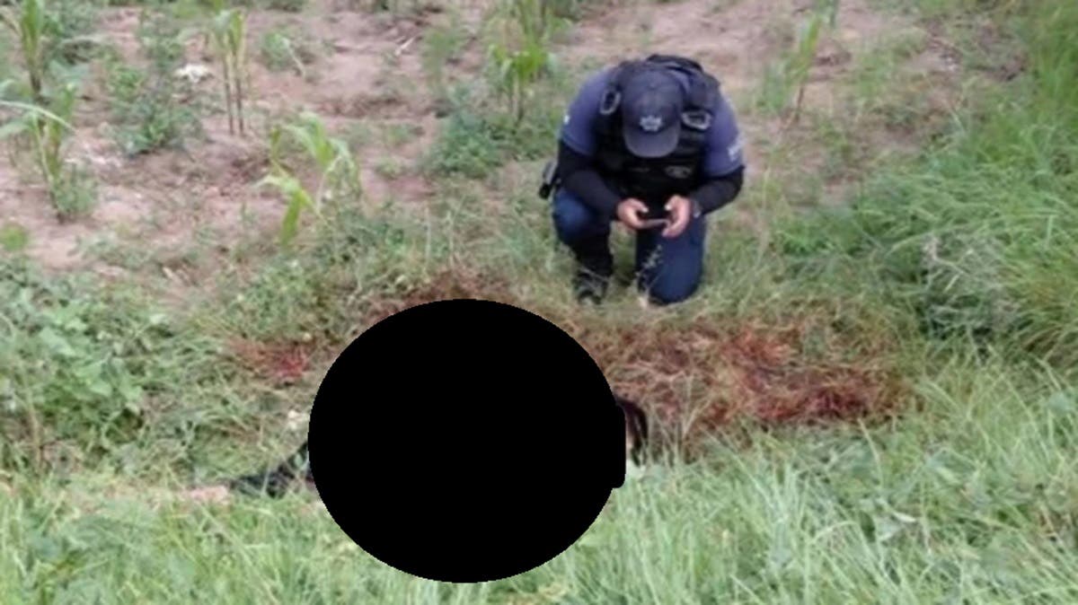 IMÁGENES FUERTES: Joven salió a correr y fue atacado por perros; así terminó