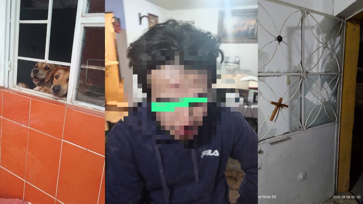 Quisieron ayudar a dos perros… y acabaron siendo atacados por sus maltratadores