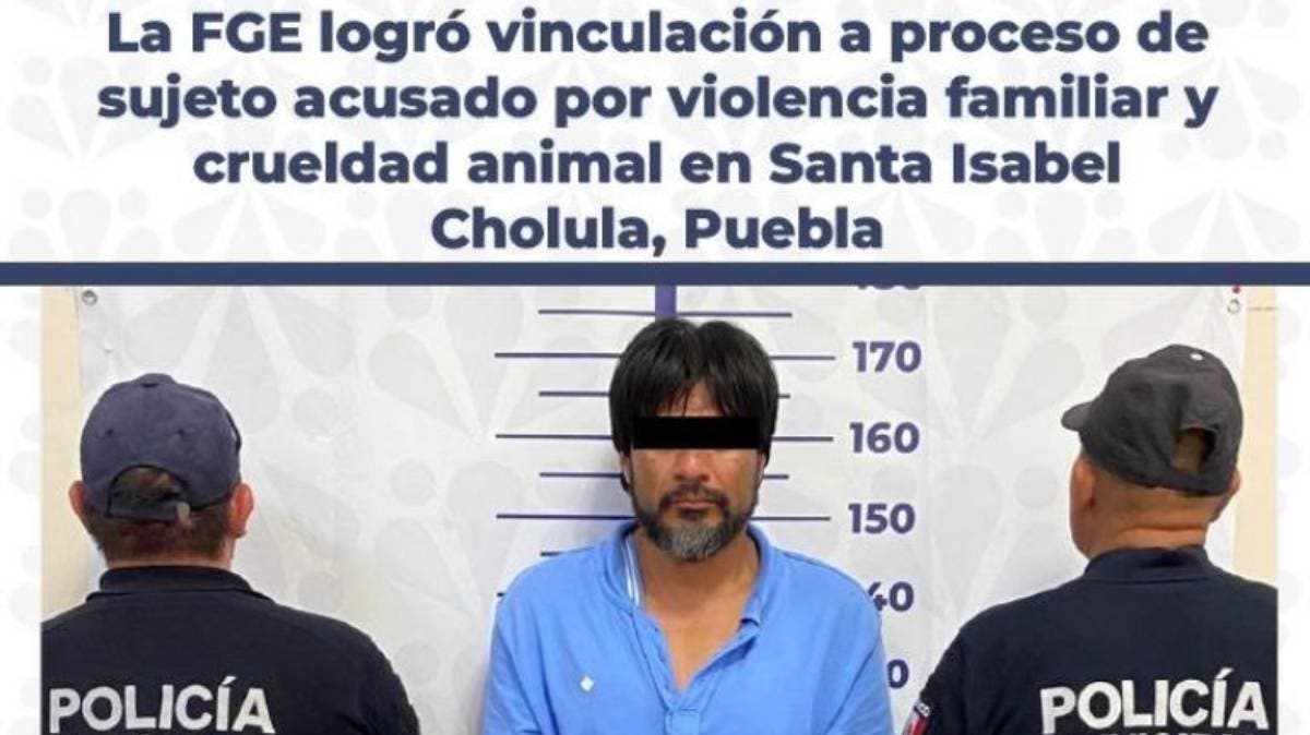 Kia, la perrita que dio la vida por defender a su dueña de la violencia en Puebla