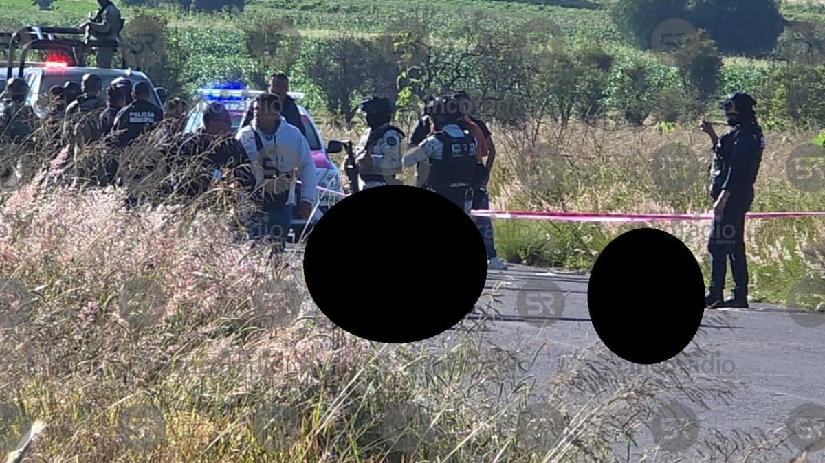 Última Hora: Martes de Terror, hallan cabezas y restos humanos en carretera de Ixtacuixtla