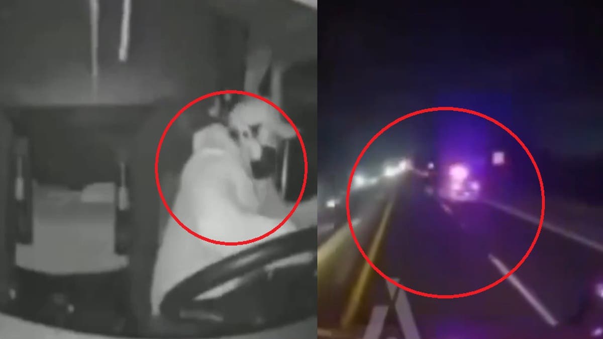 VIDEO: Ladrón salta en movimiento para huir de la Guardia Nacional en la autopista