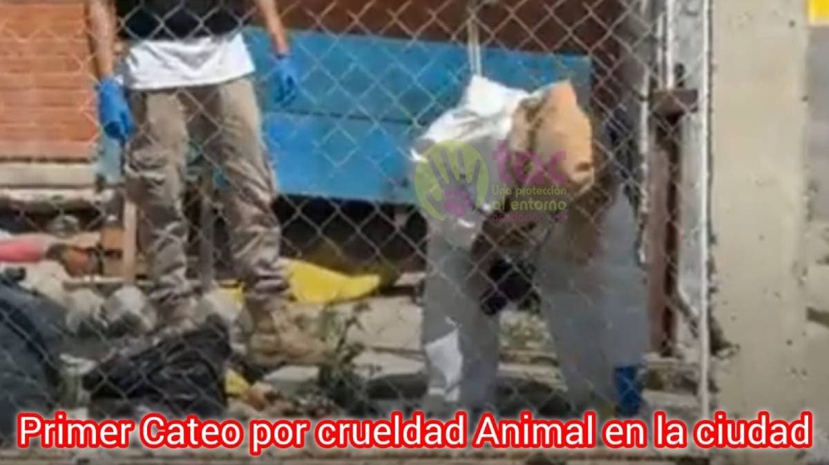 Tehuacán hace historia: Fiscalía ejecuta primer cateo por crueldad animal en Puebla