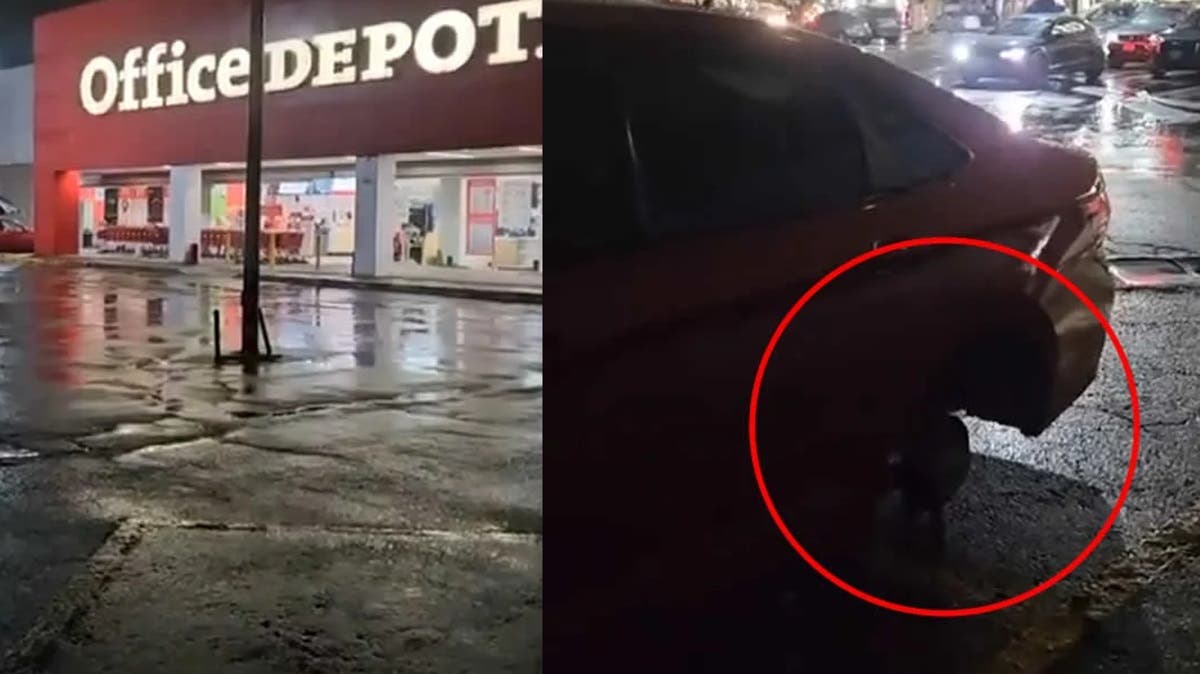 Roban llanta a auto de mujer en pleno estacionamiento vigilado Office Depot del Circuito Juan Pablo II